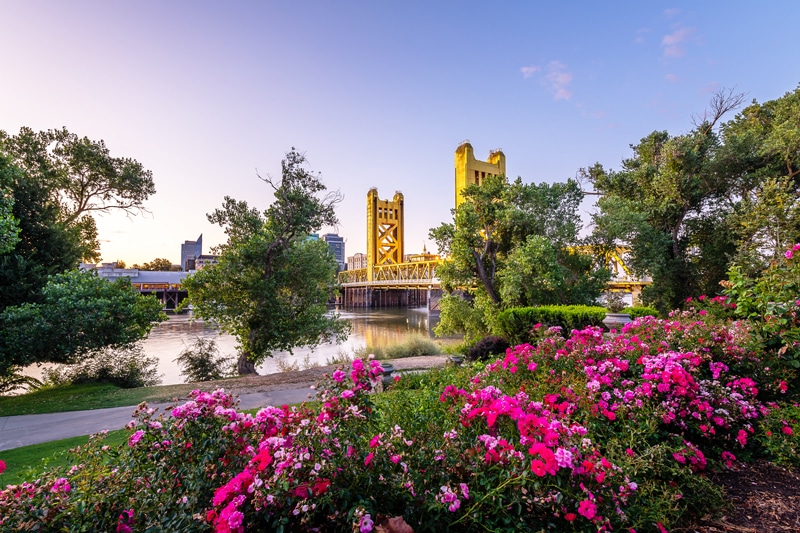 Image of a bridge in Sacramento, California